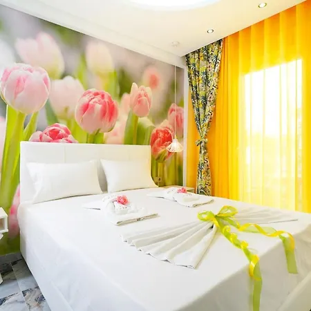 Appartement El Greco Potos